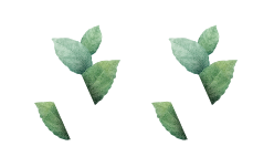 vigorfarms