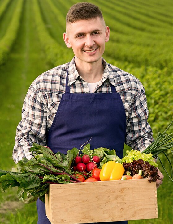 vigorfarms