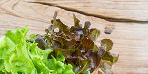vigorfarms
