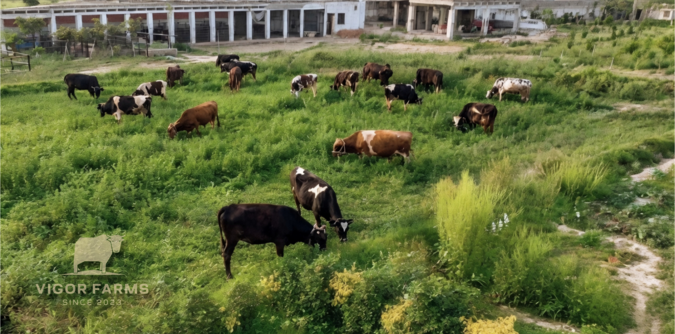 Farm Landscape